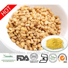 100% naturel de haute qualité poudre d&#39;extrait de graines de fenugrec 4-hydroxyisoleucine 60% en vrac